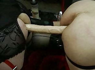 two asses of bitches!..
