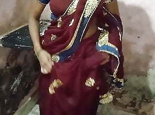 Indian girl in a saree has quick sex with devar