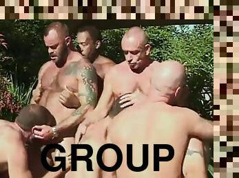 sexe-de-groupe, musclé, ours