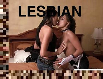 Sexy brunette sluts have some lesbian anal fun