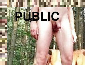 en-plein-air, pisser, public, amateur, ejaculation-interne, décapage, douce, fétiche, forêt, bite