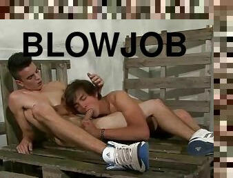 18 Boys in Blowjob Action - Colin Bates and Buddy