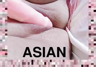 asiático, extremo, masturbación, coño-pussy, amateur, anal, juguete, regordeta, regordeta-chubby, prieto