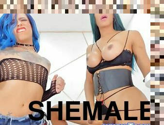 Hot Shemale Duo Strip Tease