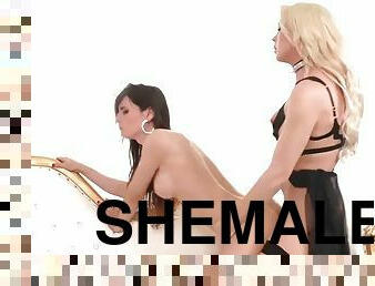 Shemale aubrey kate fuck another shemale
