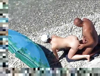 pecorina, pubblici, amatoriali, coppie, spiaggia, scene-rubate