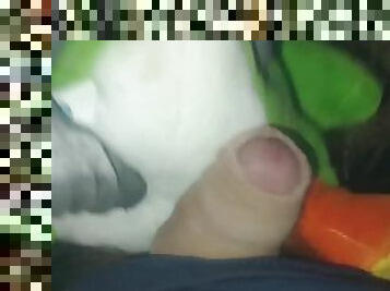 She's having fun with Yoshi in the barn on Sina's ankle and cum on him