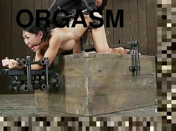 asia, payudara-besar, ekstrem, orgasme, bdsm-seks-kasar-dan-agresif, bondage-seks-dengan-mengikat-tubuh, berambut-cokelat