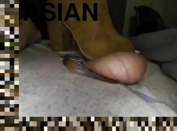 asiatique, gros-nichons, ejaculation-sur-le-corps, latina, japonais, branlette, massage, pieds, fétiche, chinoise