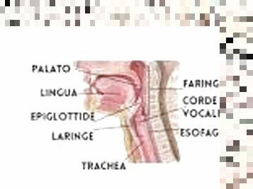 Le porcate che mi manda la mia T*oia (pt2)