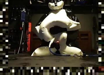 Inflatable Husky Jerk-off