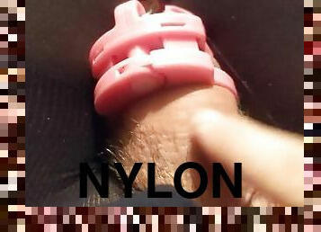 collants, gay, solo, douleur, en-nylon, bite