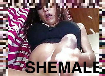 shemale