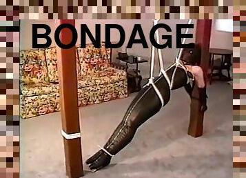 bdsm, bas, fétiche, bondage, brunette