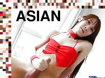 asiatique, cul, gros-nichons, énorme, transsexuelle, ébène, énorme-bite, black, ladyboy, mignonne