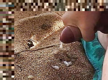 Naked beach wank slow motion cum