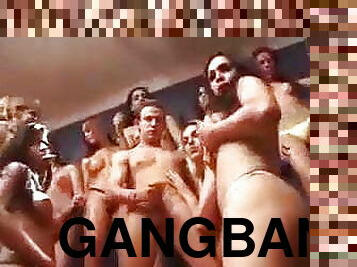 Only Gangbangs Allowed