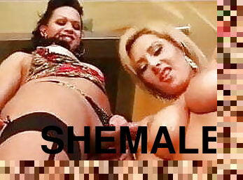 shemale