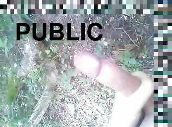 masturbation, en-plein-air, public, russe, gay, branlette, secousses, forêt