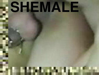 Shemale Slut Video fuck