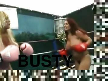 Busty Boxing
