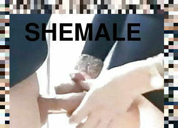 Shemale stroking 