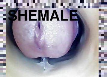Shemale cums In Fleshlight at 24:30