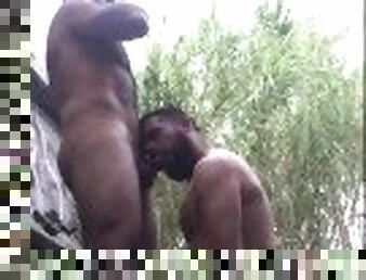 papa, poilue, en-plein-air, public, mature, fellation, ejaculation-sur-le-corps, gay, arabe, point-de-vue