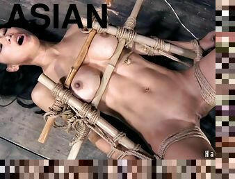 asiatique, gros-nichons, interracial, milf, ados, jouet, fellation-profonde, bdsm, fétiche, bondage