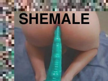 DOGGYSTYLE POV SISSY ON SIGMALOID DILDO