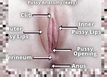 HOW TO?! Pussy Licking TUTORIAL #0 - Mr PussyLicking