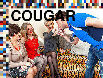 Three cougars sharing a young mans cock
