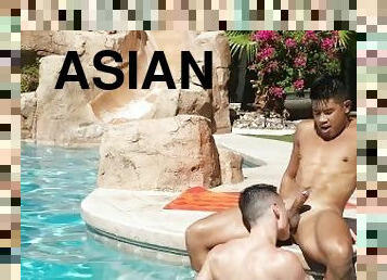 asiatique, fellation, gay, branlette, fellation-profonde, piscine, boules, bite, sucer