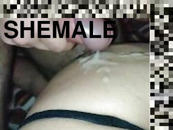 Multiple Cumshots on shemale's ass