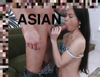asiatique, brunette, petits-seins