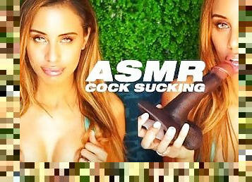 ASMR  Cock Sucking Dirty Talk on Real Cock 2 (Whispering)