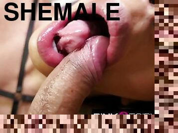 Shemale fuck shemale bareback Marcelle and Nicole