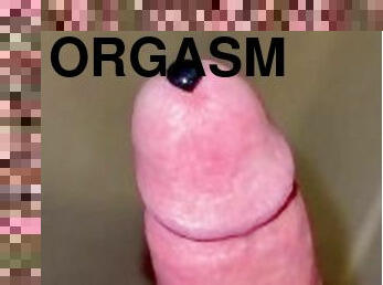 orgasme, massage, horny, lait, virgin, insertion