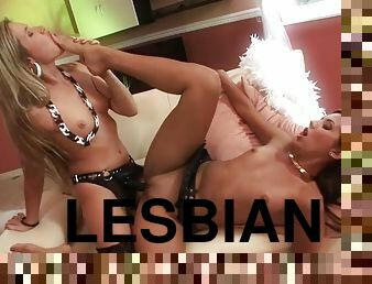 Young Lesbian Cutie Gets Sodomized By Big Anal Sex Toy