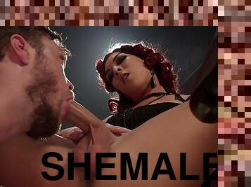 transsexuelle, anal, fellation, hardcore, par-voie-orale, fétiche, trou-du-cul, domination