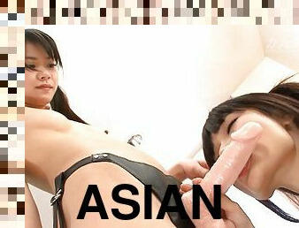 asiático, aluna, estudante, lésbicas, adolescente, japonesa, uniforme