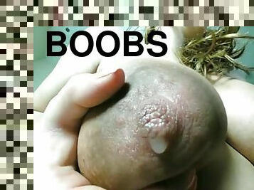 gros-nichons, mamelons, enceintes, webcam, seins, lait, en-lactation