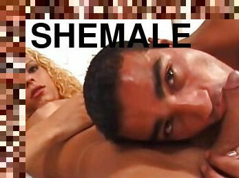 Latina dude worships long shemale cock