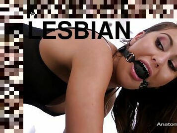 Paige Owens and Jane Wilde lesbian sodomy por