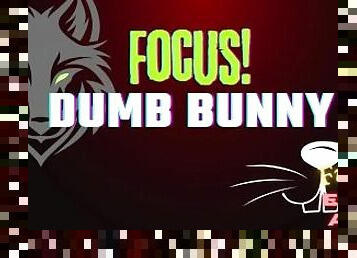 [Gay Furry Audio] Focus, Dumb Bunny!