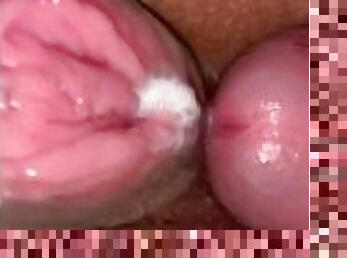 grosse, masturbation, chatte-pussy, giclée, énorme-bite, latina, belle-femme-ronde, salope, point-de-vue, ejaculation