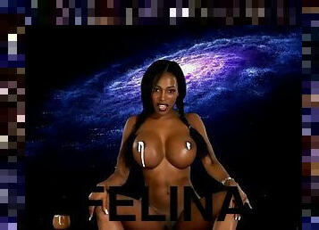 FELINA - A LITTLE HISTORY