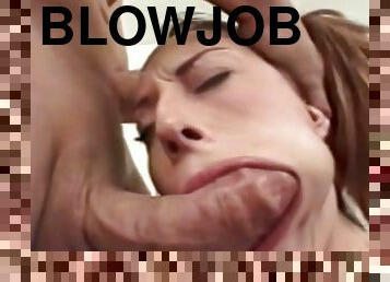 store-pupper, blowjob, besta, erotisk, skjult