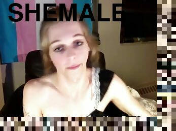 shemale, mėgėjai, transeksualas, internetinė-kamera