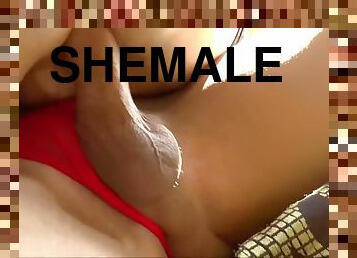 Shemale nikki x. likes to bang with another shemale friend